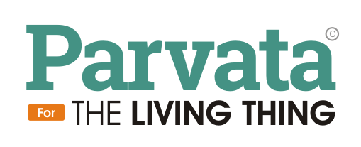 Parvata | For The Living Thing